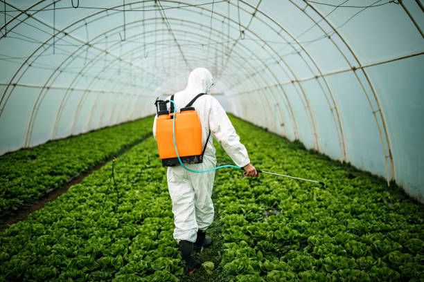 Best Emergency Pest Control  in Sultan, WA