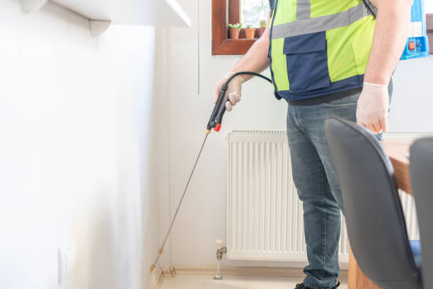 Best Flea Control Services  in Sultan, WA