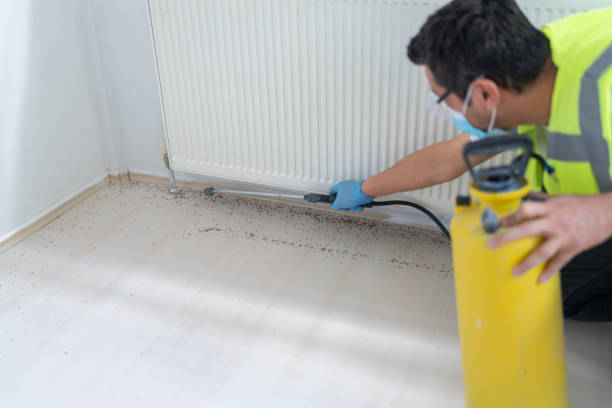 Best Residential Pest Control  in Sultan, WA