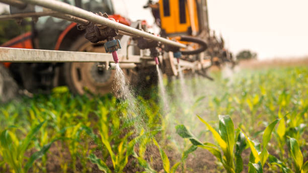 Best Pest Control Treatment  in Sultan, WA